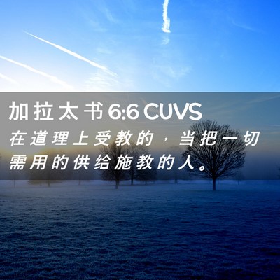 Picture 02 - 加 拉 太 书 6:6 CUVS - 在 道 理 上 受 教 的 ， 当 把 一 切 - Bible Verse Picture