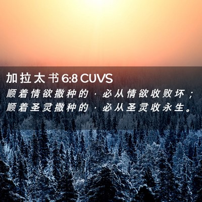 Picture 02 - 加 拉 太 书 6:8 CUVS - 顺 着 情 欲 撒 种 的 ， 必 从 情 欲 - Bible Verse Picture
