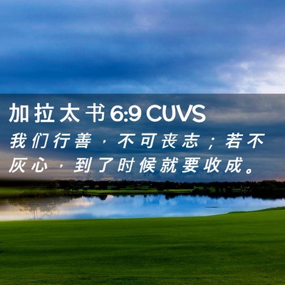 Picture 02 - 加 拉 太 书 6:9 CUVS - 我 们 行 善 ， 不 可 丧 志 ； 若 不 - Bible Verse Picture