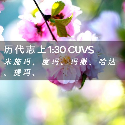 Picture 02 - 历 代 志 上 1:30 CUVS - 米 施 玛 、 度 玛 、 玛 撒 、 哈 达 - Bible Verse Picture