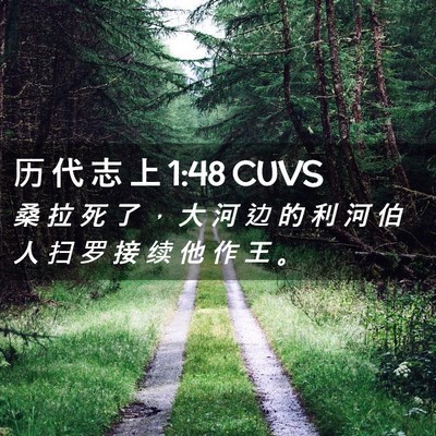 Picture 02 - 历 代 志 上 1:48 CUVS - 桑 拉 死 了 ， 大 河 边 的 利 河 伯 - Bible Verse Picture