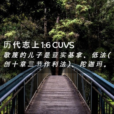 Picture 02 - 历 代 志 上 1:6 CUVS - 歌 篾 的 儿 子 是 亚 实 基 拿 、 低 - Bible Verse Picture