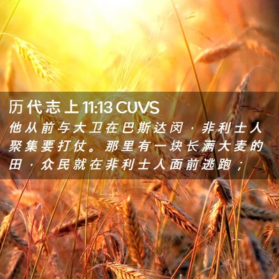 Picture 02 - 历 代 志 上 11:13 CUVS - 他 从 前 与 大 卫 在 巴 斯 达 闵 ， - Bible Verse Picture
