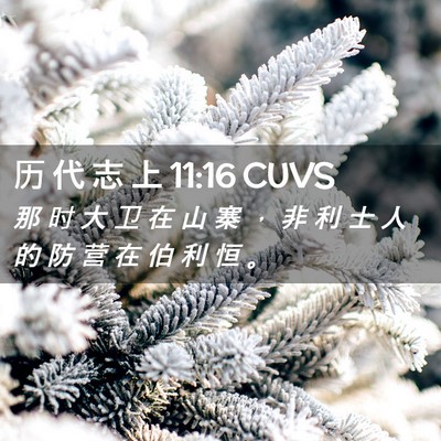 Picture 02 - 历 代 志 上 11:16 CUVS - 那 时 大 卫 在 山 寨 ， 非 利 士 人 - Bible Verse Picture