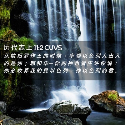 Picture 02 - 历 代 志 上 11:2 CUVS - 从 前 扫 罗 作 王 的 时 候 ， 率 领 - Bible Verse Picture