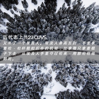 Picture 02 - 历 代 志 上 11:23 CUVS - 又 杀 了 一 个 埃 及 人 。 埃 及 人 - Bible Verse Picture