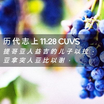 Picture 02 - 历 代 志 上 11:28 CUVS - 提 哥 亚 人 益 吉 的 儿 子 以 拉 ， - Bible Verse Picture