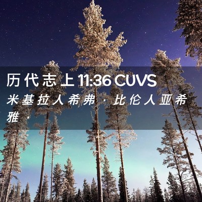 Picture 02 - 历 代 志 上 11:36 CUVS - 米 基 拉 人 希 弗 ， 比 伦 人 亚 希 - Bible Verse Picture