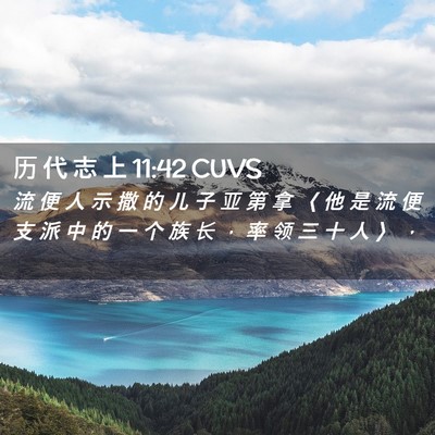 Picture 02 - 历 代 志 上 11:42 CUVS - 流 便 人 示 撒 的 儿 子 亚 第 拿 〈 - Bible Verse Picture
