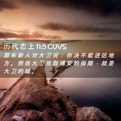 Picture 02 - 历 代 志 上 11:5 CUVS - 耶 布 斯 人 对 大 卫 说 ： 你 决 不 - Bible Verse Picture