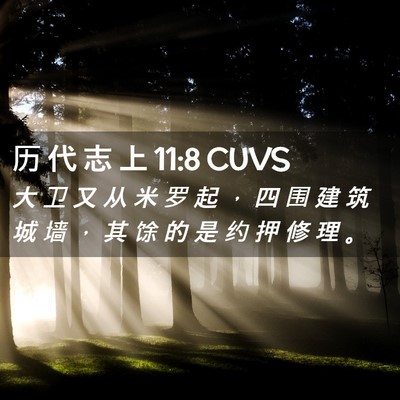 Picture 02 - 历 代 志 上 11:8 CUVS - 大 卫 又 从 米 罗 起 ， 四 围 建 筑 - Bible Verse Picture