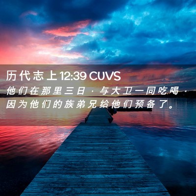 Picture 02 - 历 代 志 上 12:39 CUVS - 他 们 在 那 里 三 日 ， 与 大 卫 一 - Bible Verse Picture