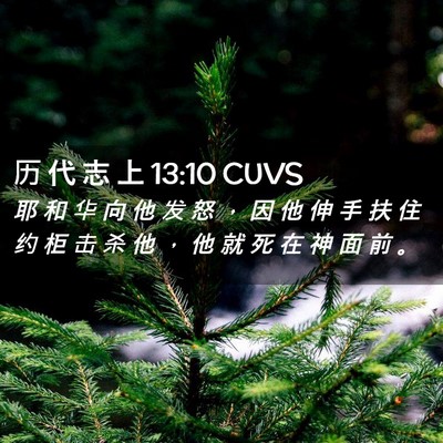 Picture 02 - 历 代 志 上 13:10 CUVS - 耶 和 华 向 他 发 怒 ， 因 他 伸 手 - Bible Verse Picture