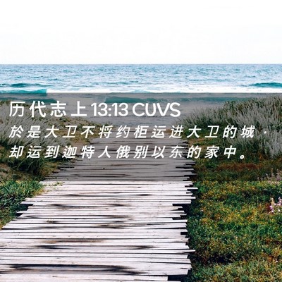 Picture 02 - 历 代 志 上 13:13 CUVS - 於 是 大 卫 不 将 约 柜 运 进 大 卫 - Bible Verse Picture