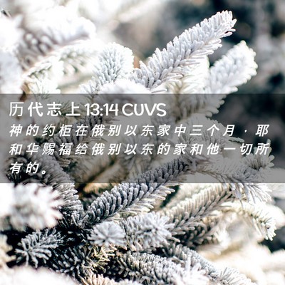 Picture 02 - 历 代 志 上 13:14 CUVS - 神 的 约 柜 在 俄 别 以 东 家 中 三 - Bible Verse Picture