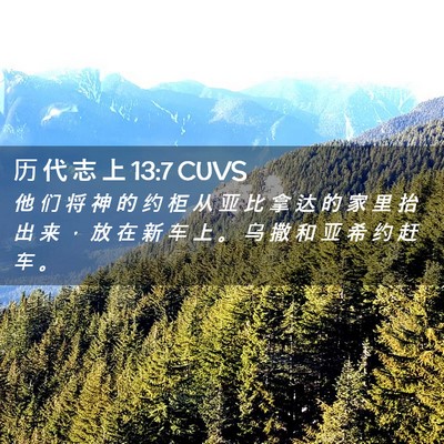 Picture 02 - 历 代 志 上 13:7 CUVS - 他 们 将 神 的 约 柜 从 亚 比 拿 达 - Bible Verse Picture