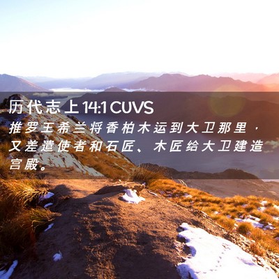 Picture 02 - 历 代 志 上 14:1 CUVS - 推 罗 王 希 兰 将 香 柏 木 运 到 大 - Bible Verse Picture