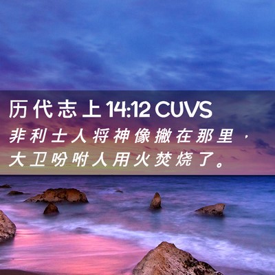 Picture 02 - 历 代 志 上 14:12 CUVS - 非 利 士 人 将 神 像 撇 在 那 里 ， - Bible Verse Picture