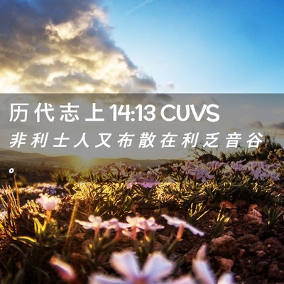 Picture 02 - 历 代 志 上 14:13 CUVS - 非 利 士 人 又 布 散 在 利 乏 音 谷 - Bible Verse Picture