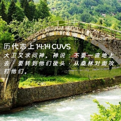 Picture 02 - 历 代 志 上 14:14 CUVS - 大 卫 又 求 问 神 。 神 说 ： 不 要 - Bible Verse Picture