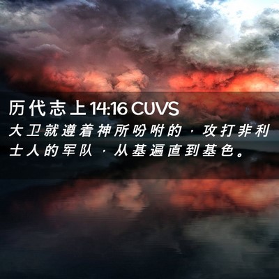 Picture 02 - 历 代 志 上 14:16 CUVS - 大 卫 就 遵 着 神 所 吩 咐 的 ， 攻 - Bible Verse Picture
