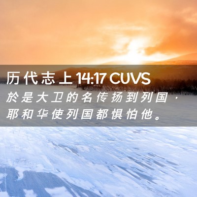 Picture 02 - 历 代 志 上 14:17 CUVS - 於 是 大 卫 的 名 传 扬 到 列 国 ， - Bible Verse Picture