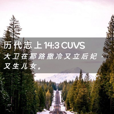 Picture 02 - 历 代 志 上 14:3 CUVS - 大 卫 在 耶 路 撒 冷 又 立 后 妃 ， - Bible Verse Picture