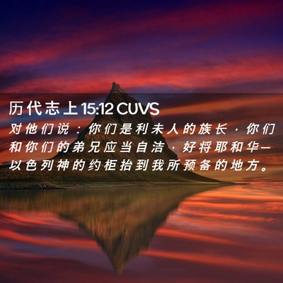 Picture 02 - 历 代 志 上 15:12 CUVS - 对 他 们 说 ： 你 们 是 利 未 人 的 - Bible Verse Picture