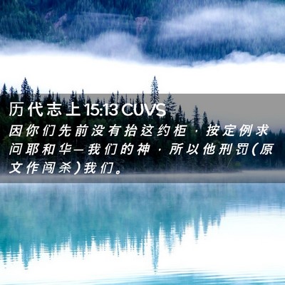 Picture 02 - 历 代 志 上 15:13 CUVS - 因 你 们 先 前 没 有 抬 这 约 柜 ， - Bible Verse Picture