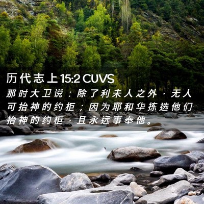 Picture 02 - 历 代 志 上 15:2 CUVS - 那 时 大 卫 说 ： 除 了 利 未 人 之 - Bible Verse Picture