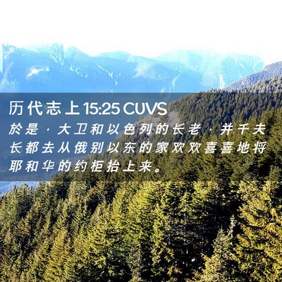 Picture 02 - 历 代 志 上 15:25 CUVS - 於 是 ， 大 卫 和 以 色 列 的 长 老 - Bible Verse Picture