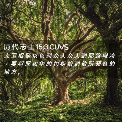Picture 02 - 历 代 志 上 15:3 CUVS - 大 卫 招 聚 以 色 列 众 人 众 人 到 - Bible Verse Picture