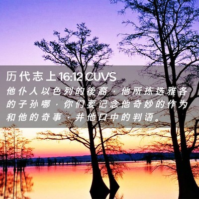 Picture 02 - 历 代 志 上 16:12 CUVS - 他 仆 人 以 色 列 的 後 裔 ， 他 所 - Bible Verse Picture