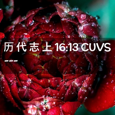 Picture 02 - 历 代 志 上 16:13 CUVS -  - Bible Verse Picture