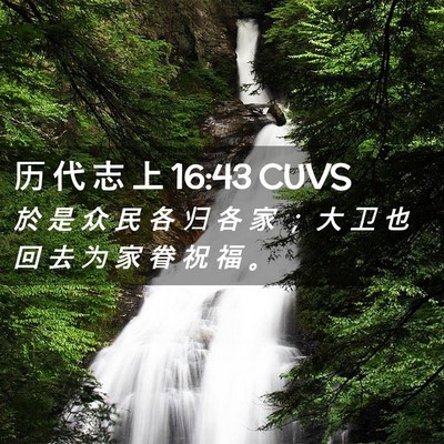 Picture 02 - 历 代 志 上 16:43 CUVS - 於 是 众 民 各 归 各 家 ； 大 卫 也 - Bible Verse Picture
