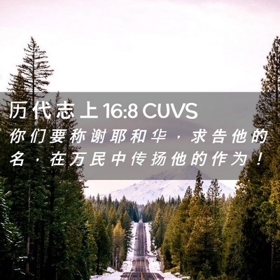 Picture 02 - 历 代 志 上 16:8 CUVS - 你 们 要 称 谢 耶 和 华 ， 求 告 他 - Bible Verse Picture