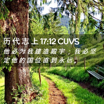 Picture 02 - 历 代 志 上 17:12 CUVS - 他 必 为 我 建 造 殿 宇 ； 我 必 坚 - Bible Verse Picture