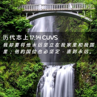 Picture 02 - 历 代 志 上 17:14 CUVS - 我 却 要 将 他 永 远 坚 立 在 我 家 - Bible Verse Picture