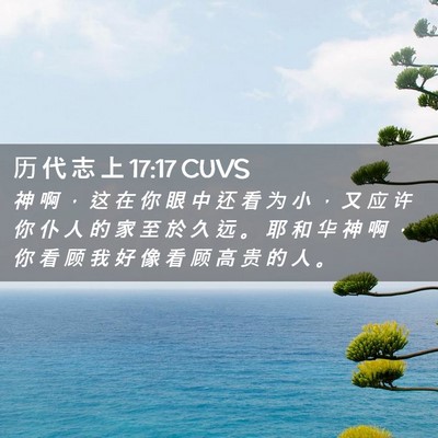 Picture 02 - 历 代 志 上 17:17 CUVS - 神 啊 ， 这 在 你 眼 中 还 看 为 小 - Bible Verse Picture