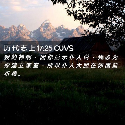 Picture 02 - 历 代 志 上 17:25 CUVS - 我 的 神 啊 ， 因 你 启 示 仆 人 说 - Bible Verse Picture