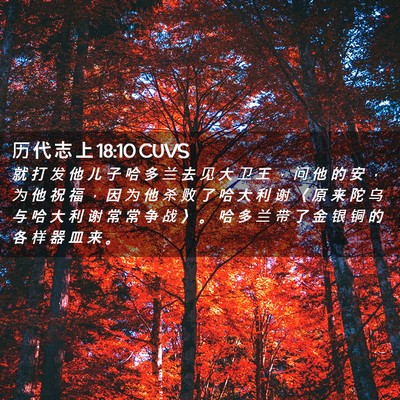 Picture 02 - 历 代 志 上 18:10 CUVS - 就 打 发 他 儿 子 哈 多 兰 去 见 大 - Bible Verse Picture