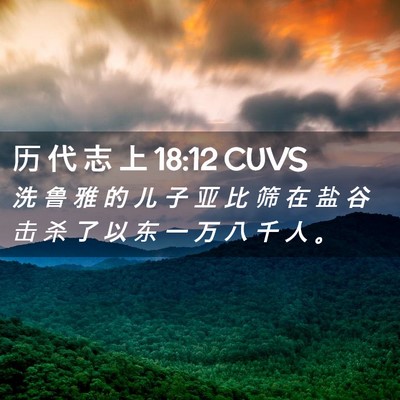 Picture 02 - 历 代 志 上 18:12 CUVS - 洗 鲁 雅 的 儿 子 亚 比 筛 在 盐 谷 - Bible Verse Picture