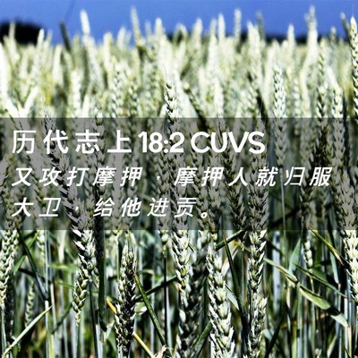 Picture 02 - 历 代 志 上 18:2 CUVS - 又 攻 打 摩 押 ， 摩 押 人 就 归 服 - Bible Verse Picture