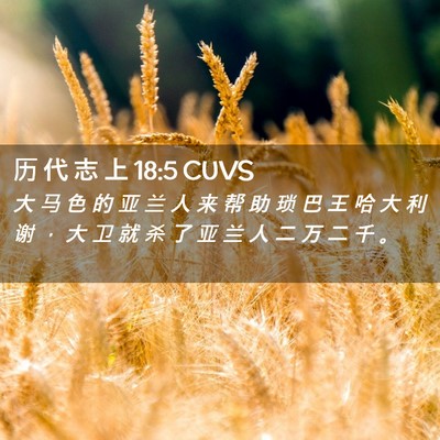 Picture 02 - 历 代 志 上 18:5 CUVS - 大 马 色 的 亚 兰 人 来 帮 助 琐 巴 - Bible Verse Picture