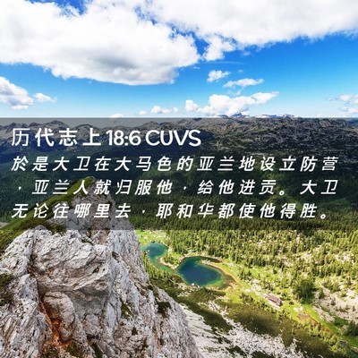 Picture 02 - 历 代 志 上 18:6 CUVS - 於 是 大 卫 在 大 马 色 的 亚 兰 地 - Bible Verse Picture