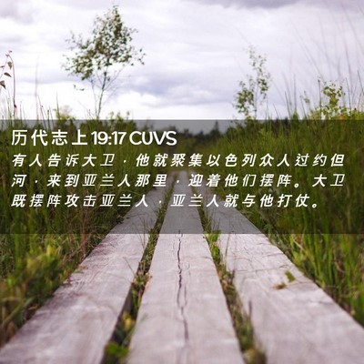 Picture 02 - 历 代 志 上 19:17 CUVS - 有 人 告 诉 大 卫 ， 他 就 聚 集 以 - Bible Verse Picture