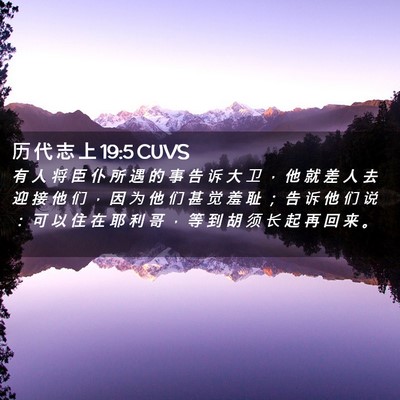 Picture 02 - 历 代 志 上 19:5 CUVS - 有 人 将 臣 仆 所 遇 的 事 告 诉 大 - Bible Verse Picture