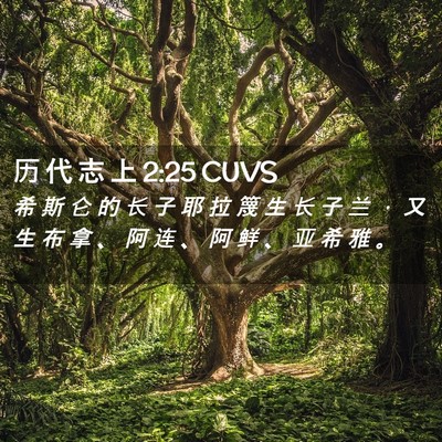 Picture 02 - 历 代 志 上 2:25 CUVS - 希 斯 仑 的 长 子 耶 拉 篾 生 长 子 - Bible Verse Picture