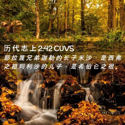 Picture 02 - 历 代 志 上 2:42 CUVS - 耶 拉 篾 兄 弟 迦 勒 的 长 子 米 沙 - Bible Verse Picture