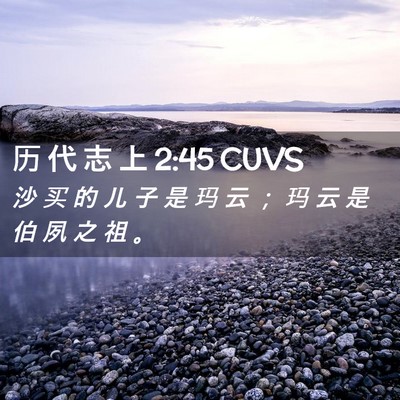 Picture 02 - 历 代 志 上 2:45 CUVS - 沙 买 的 儿 子 是 玛 云 ； 玛 云 是 - Bible Verse Picture